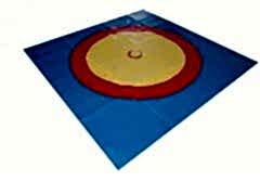 Güreş brandası 12x12