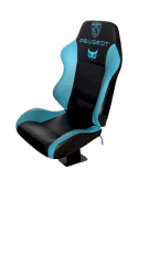 PROFESYONEL YEDEK OYUNCU KOLTUĞU