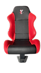 PROFESYONEL OYUNCU KOLTUĞU